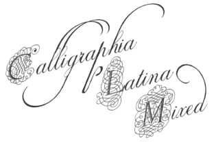 Calligraphia Latina Mixed: A Display Font for Web Design
