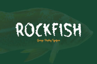 Rockfish: The Display Font for Bold Campaigns