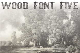Wood Font Five: A Natural Display Typeface for Editors