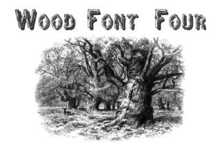 Wood Font Four: A Natural Display Typeface Review